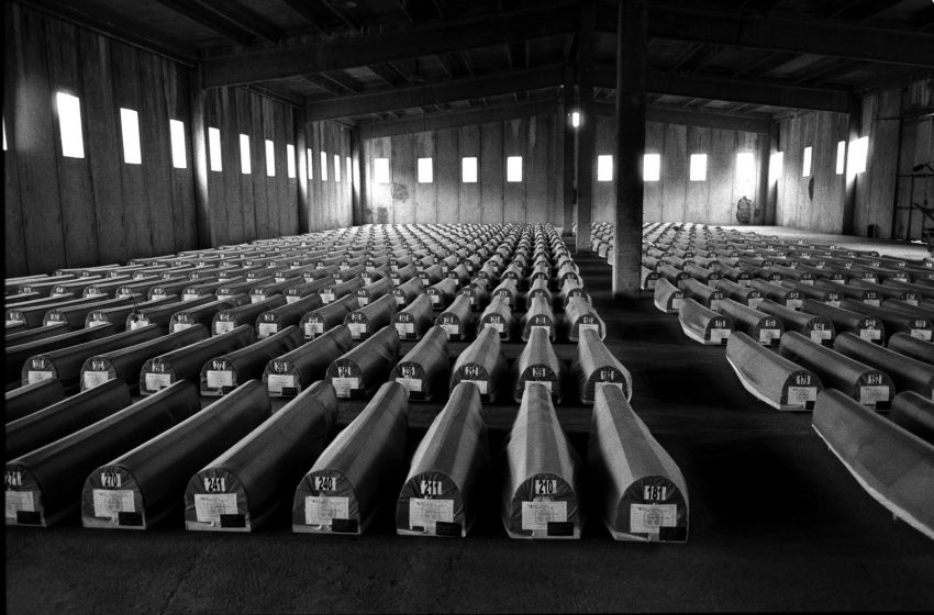  Književnost o Srebrenici, književnost o genocidu – Knjige krika i tišina